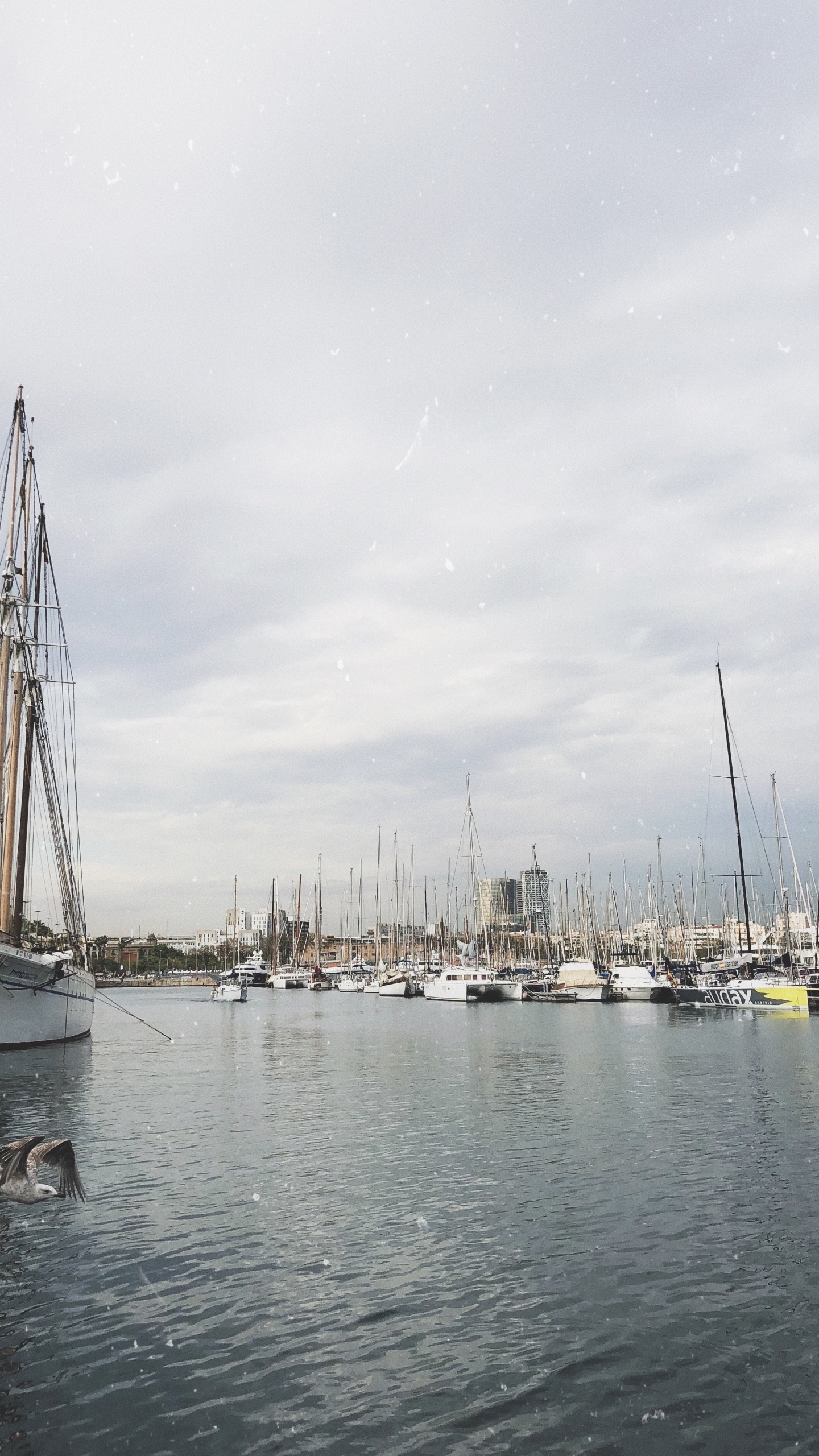 Marina, Segel, Mast, Boot, Segelboot. Wallpaper in 1440x2560 Resolution