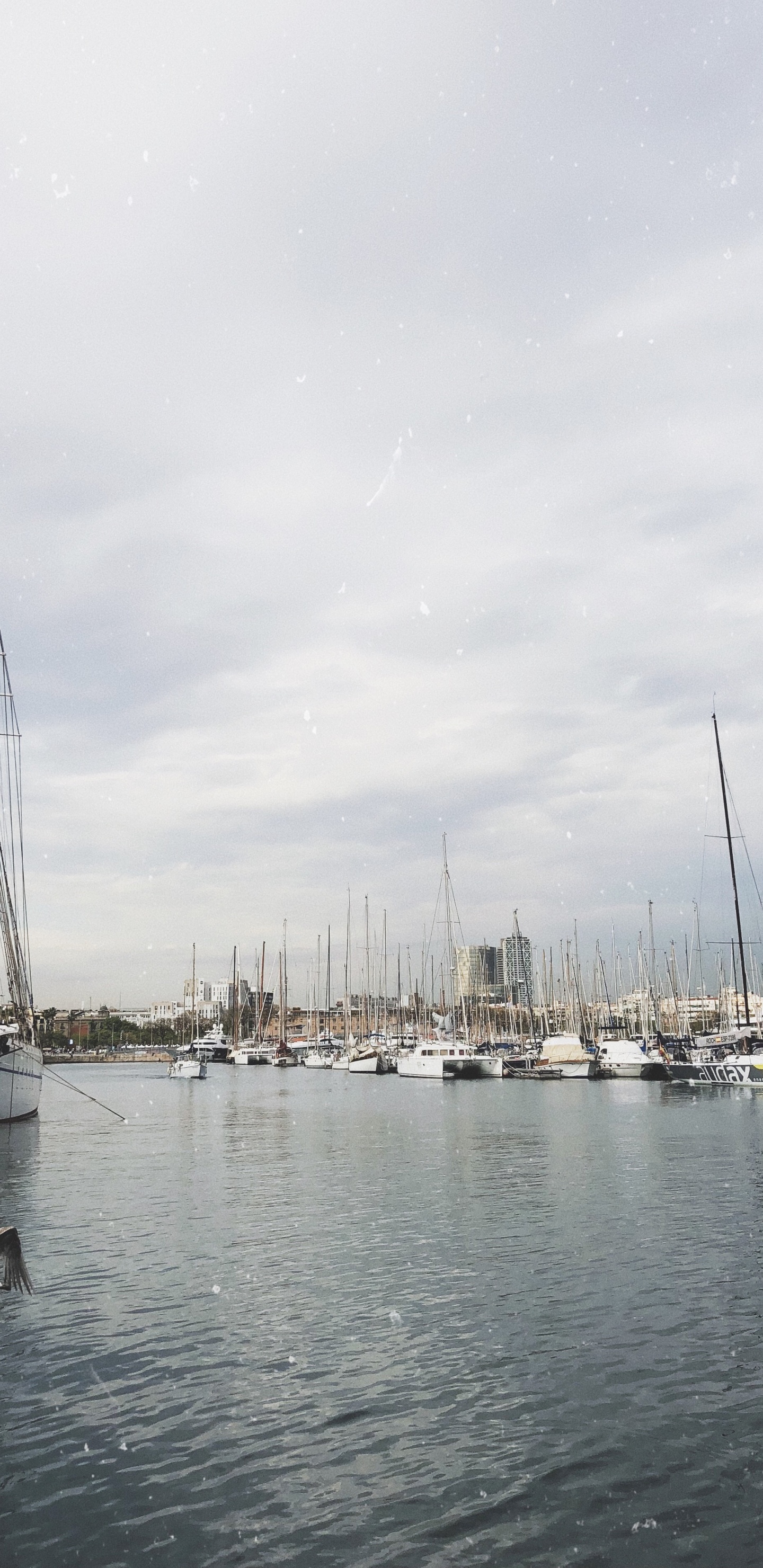 Marina, Segel, Mast, Boot, Segelboot. Wallpaper in 1440x2960 Resolution