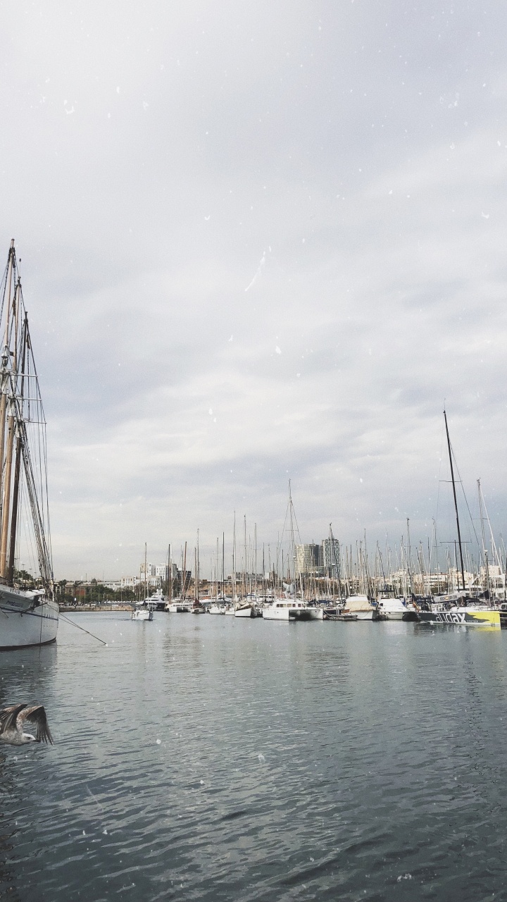 Marina, Segel, Mast, Boot, Segelboot. Wallpaper in 720x1280 Resolution