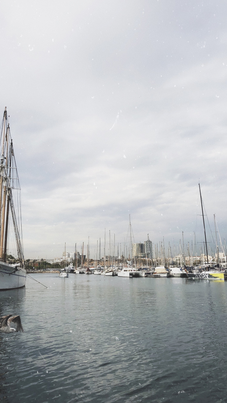 Marina, Segel, Mast, Boot, Segelboot. Wallpaper in 750x1334 Resolution