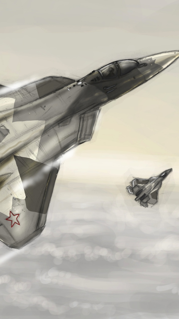 Grauer Kampfjet in Der Luft. Wallpaper in 720x1280 Resolution