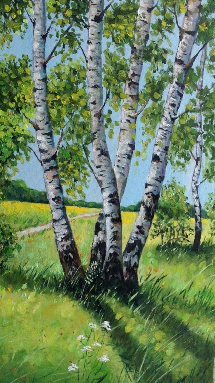 Birch, 水彩画, 木本植物, 草, 显花植物 壁纸 720x1280 允许