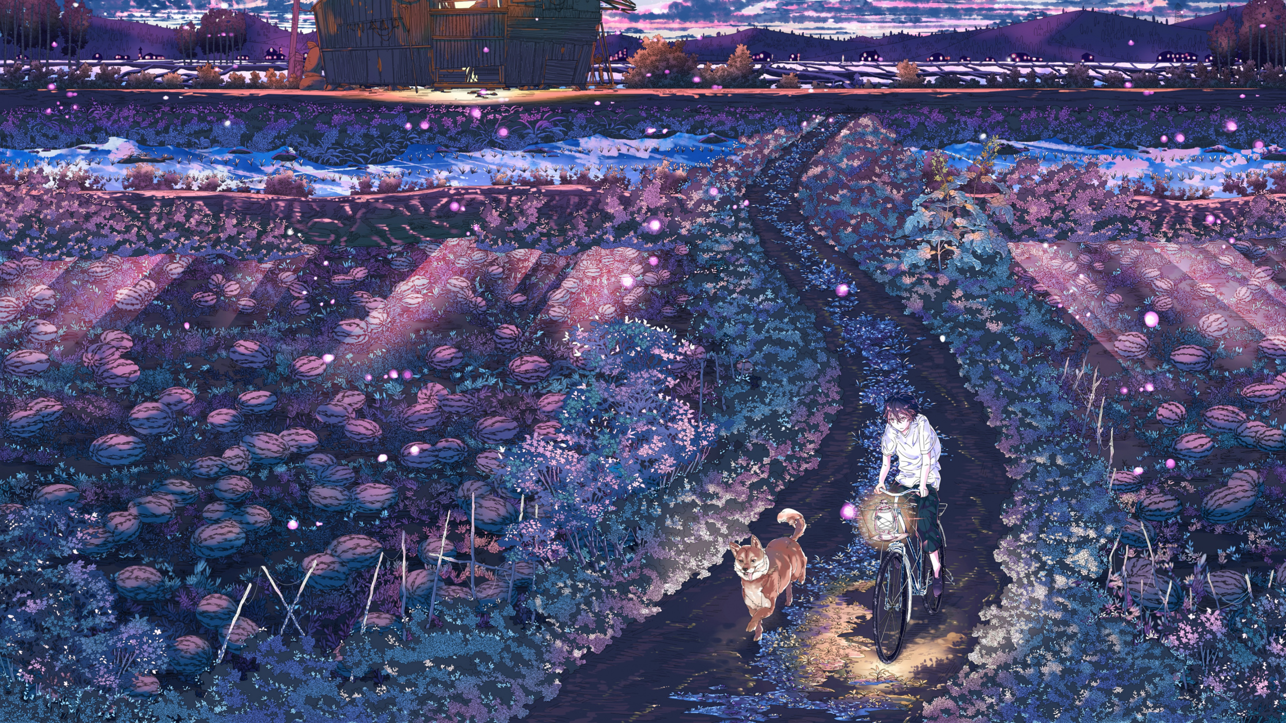 Gente Caminando en la Calle Durante la Noche. Wallpaper in 2560x1440 Resolution