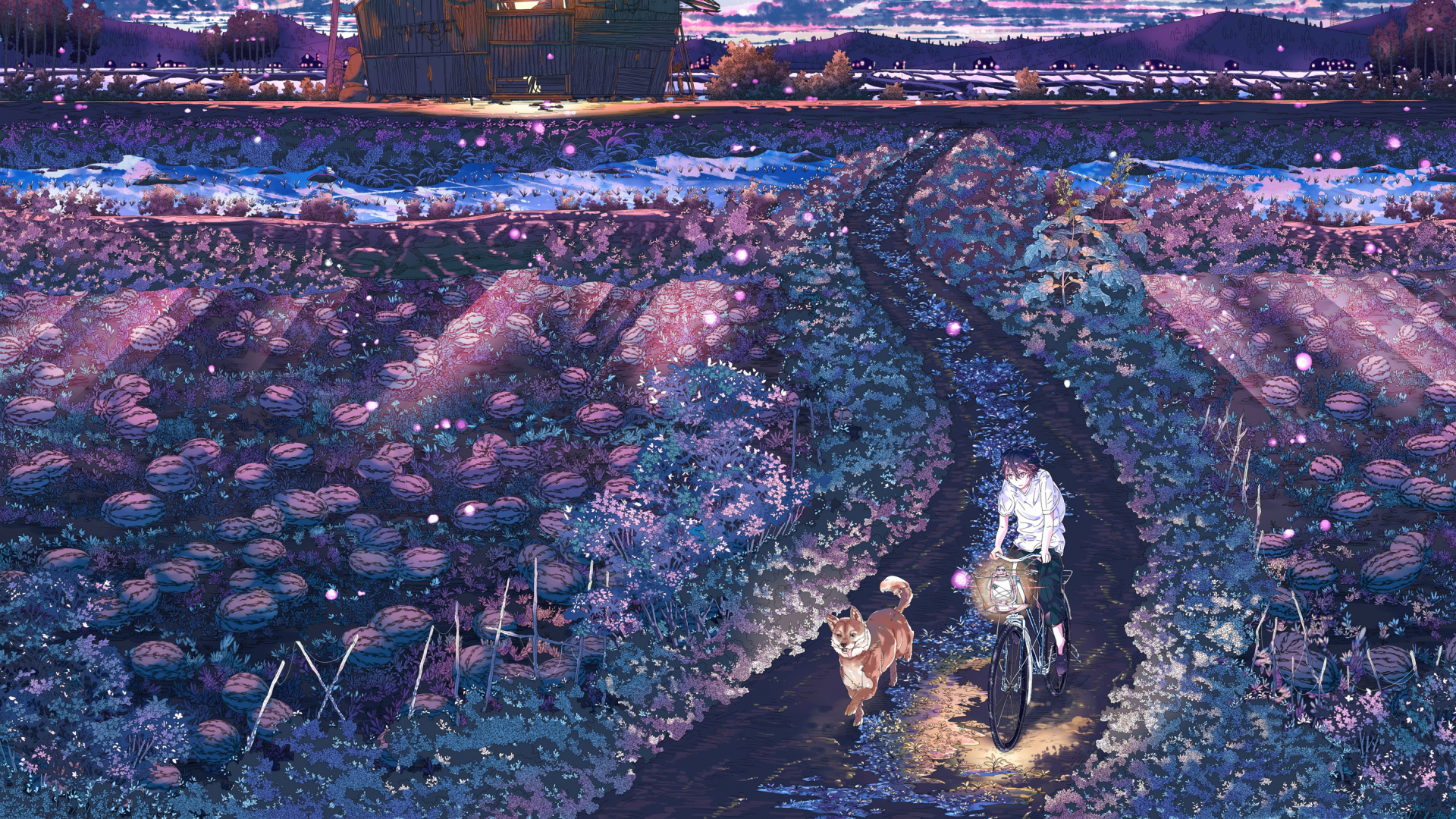 Leute, Die Nachts Auf Der Straße Gehen. Wallpaper in 1920x1080 Resolution