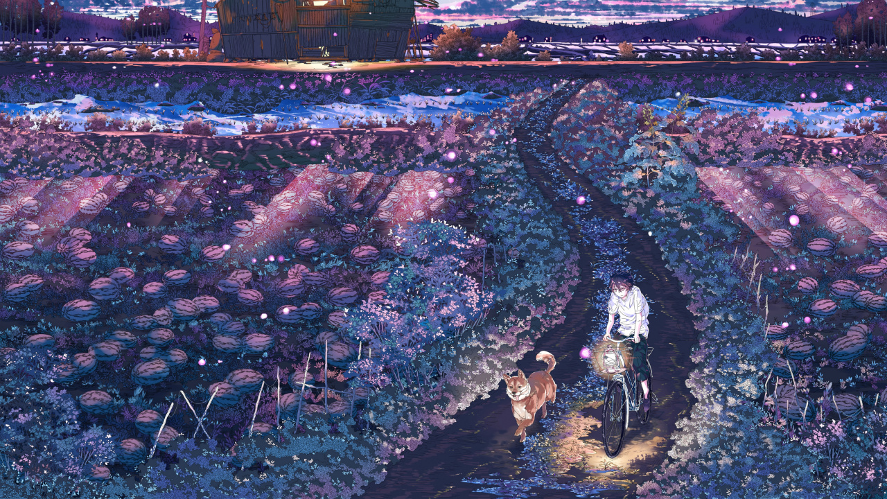 Personnes Marchant Dans la Rue Pendant la Nuit. Wallpaper in 1280x720 Resolution