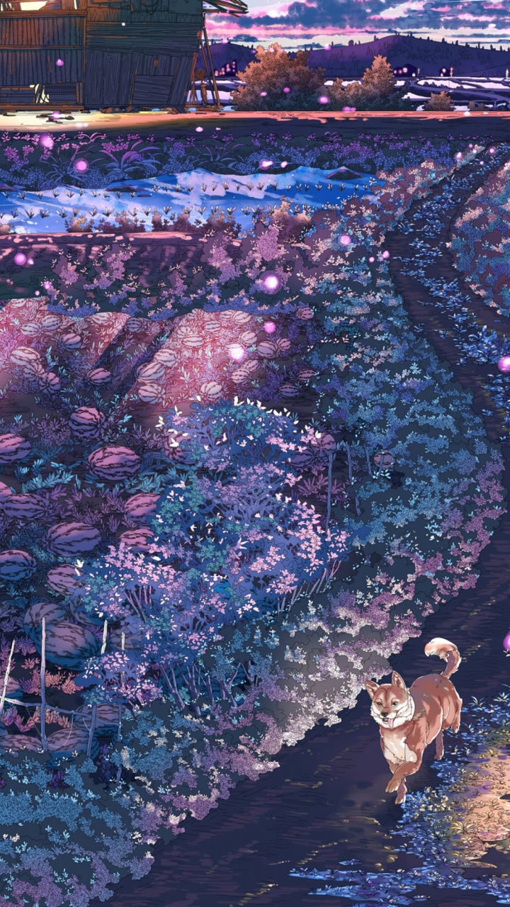 Personnes Marchant Dans la Rue Pendant la Nuit. Wallpaper in 720x1280 Resolution