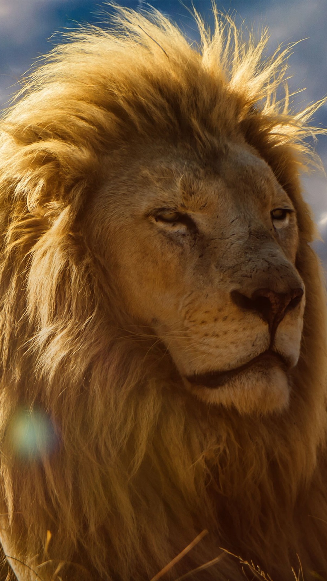 Leones, Naturaleza, Masai León, Felidae, Grandes Felinos. Wallpaper in 1080x1920 Resolution