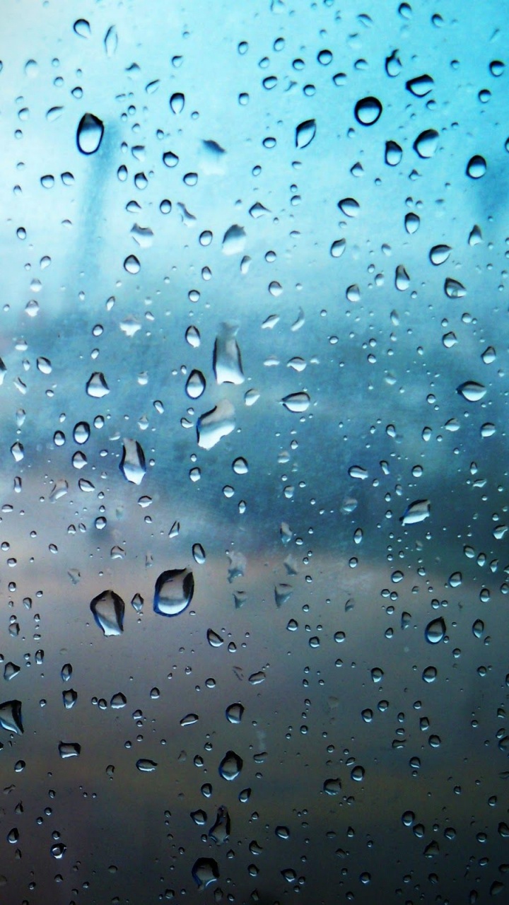 放下, 小雨, 湿气, 液泡沫, 降水 壁纸 720x1280 允许