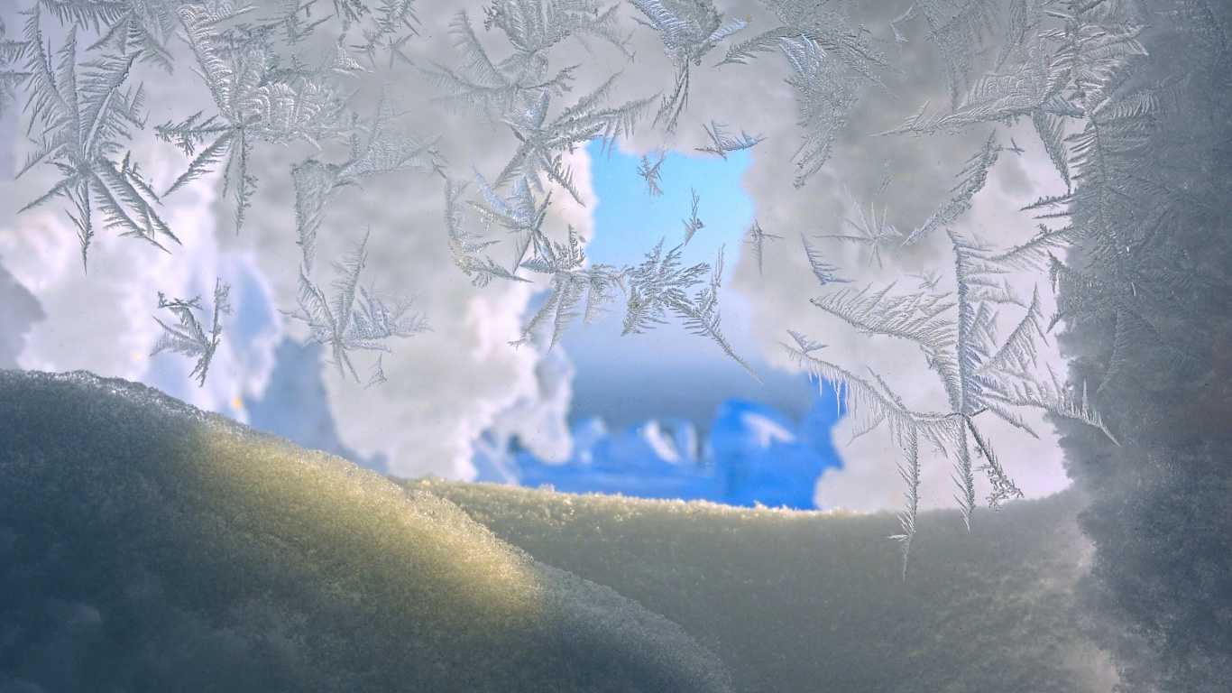 Árbol Cubierto de Nieve Durante el Día. Wallpaper in 1366x768 Resolution