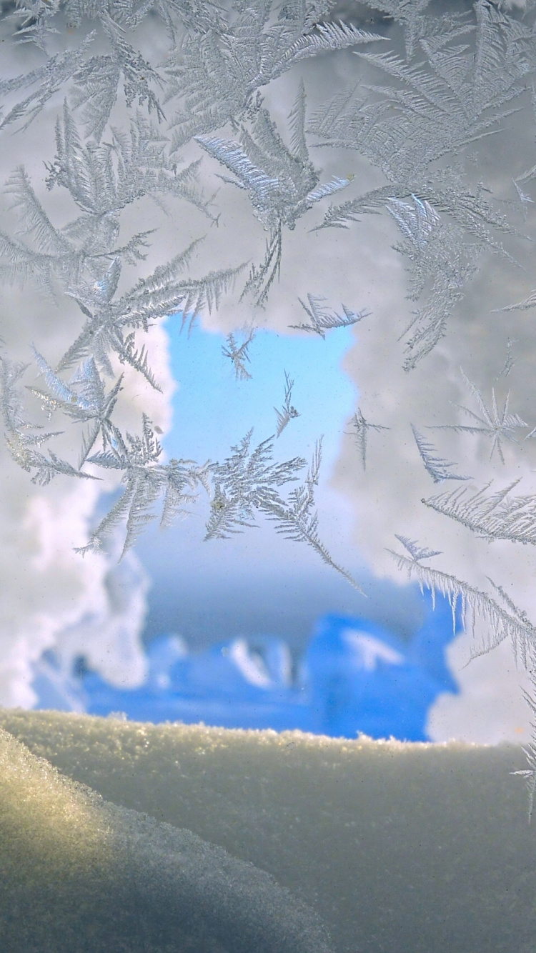 Árbol Cubierto de Nieve Durante el Día. Wallpaper in 750x1334 Resolution