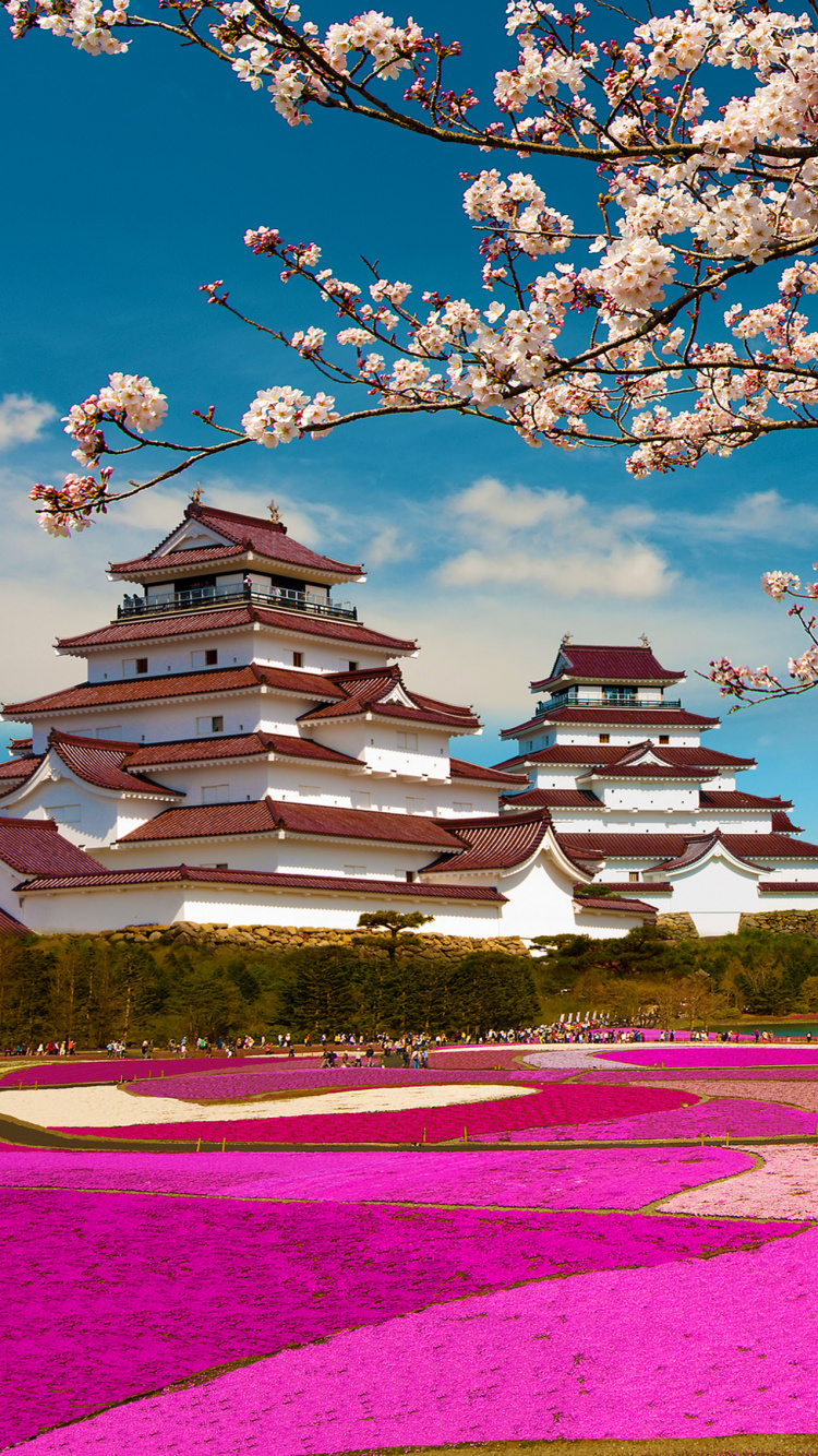 富士山, 樱花, 弹簧, 开花, 旅游景点 壁纸 750x1334 允许