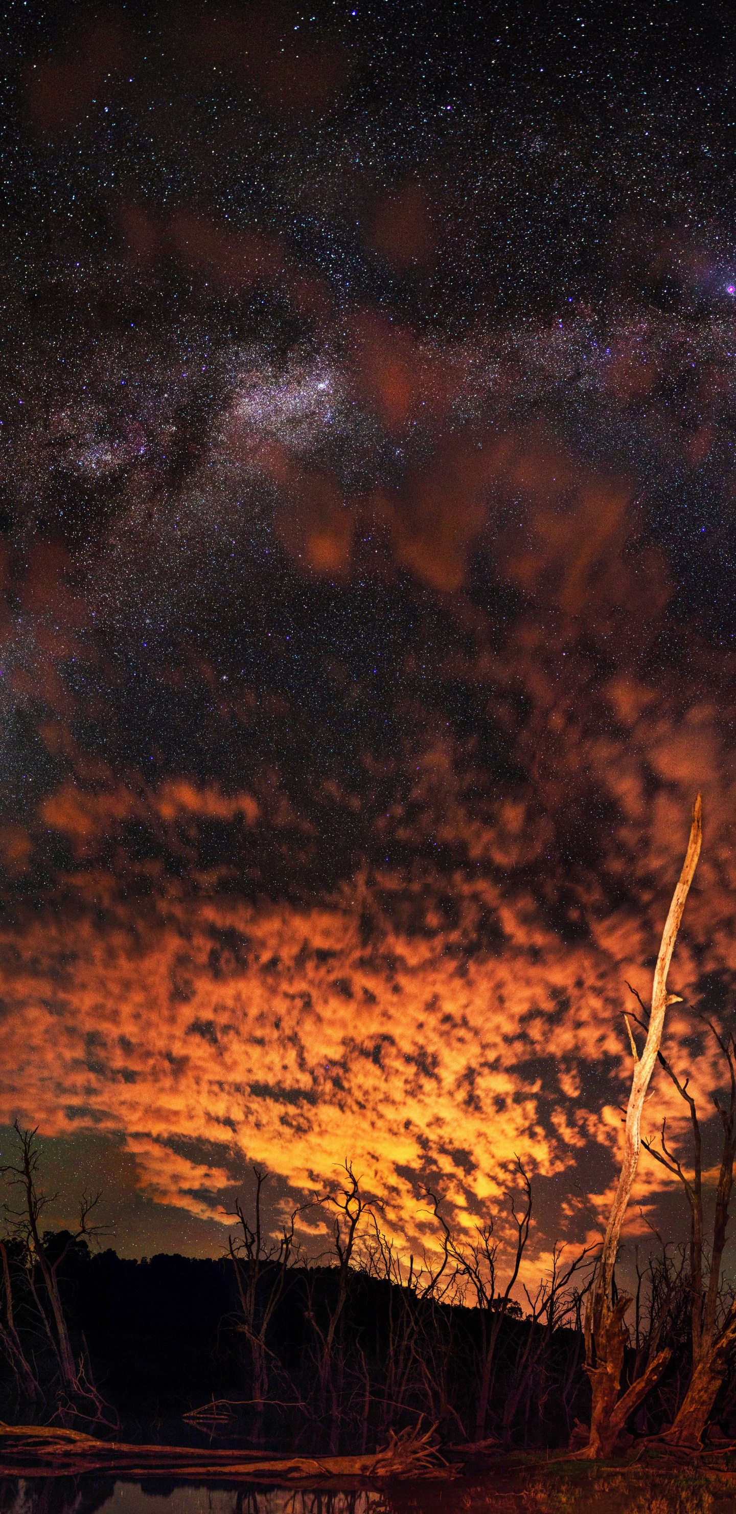 Hierba Marrón Bajo un Cielo Azul Durante la Noche. Wallpaper in 1440x2960 Resolution