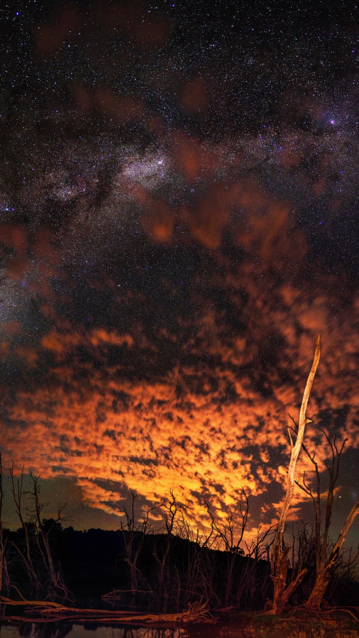 Braunes Gras Unter Blauem Himmel Während Der Nacht. Wallpaper in 720x1280 Resolution