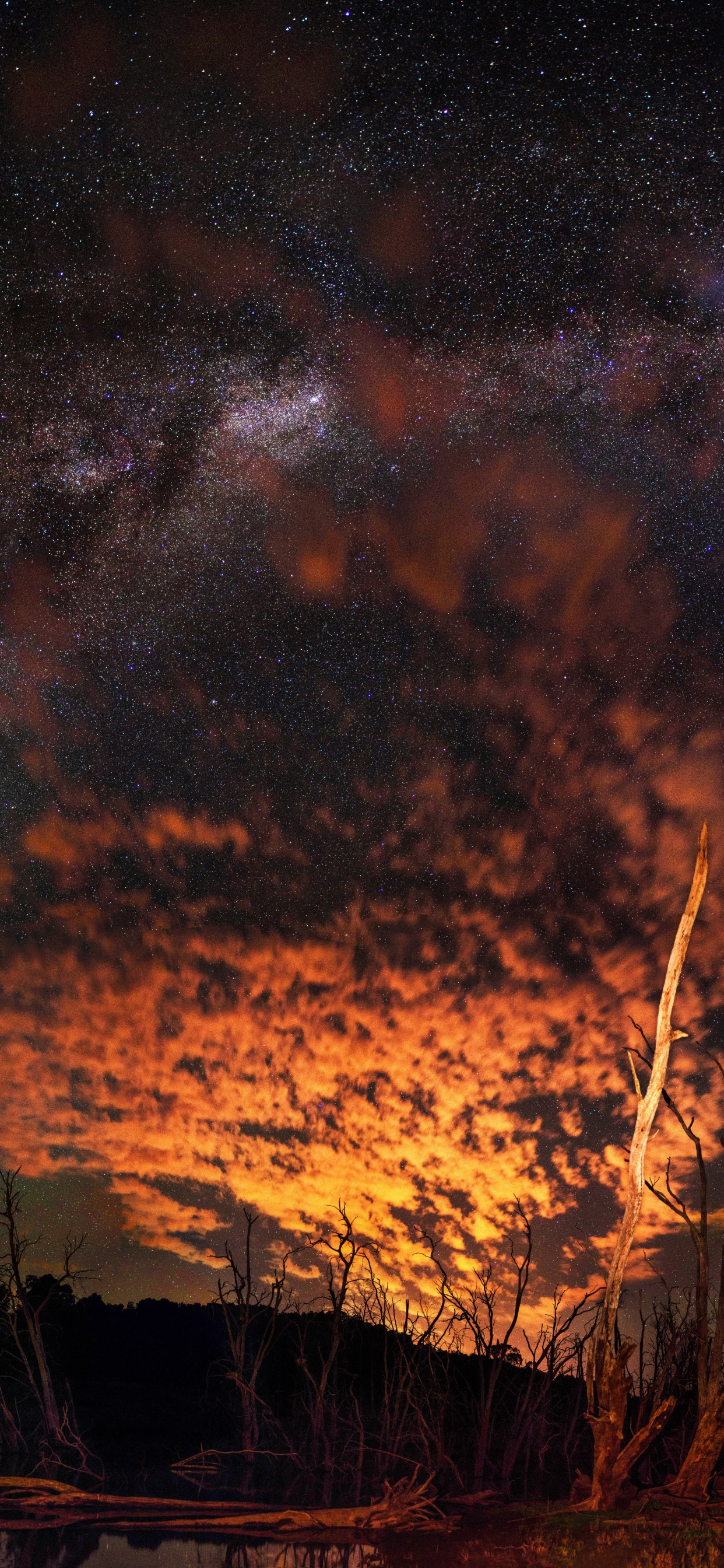 Brown Grass Under Blue Sky During Night Time. Wallpaper in 1242x2688 Resolution
