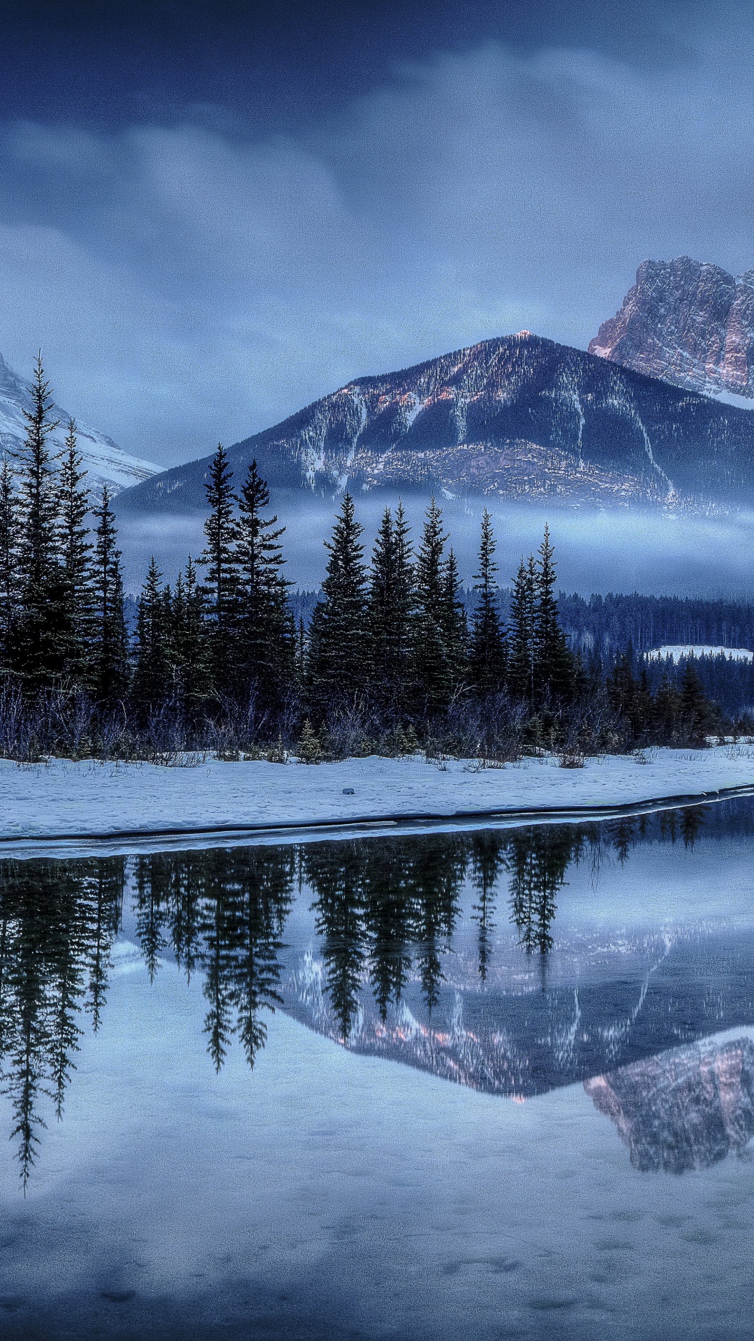 Green Pine Trees Near Snow Covered Mountain During Daytime. Wallpaper in 1080x1920 Resolution