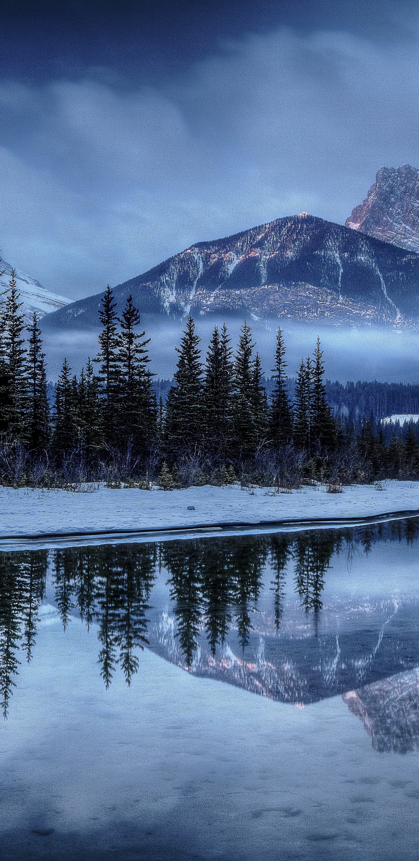 Green Pine Trees Near Snow Covered Mountain During Daytime. Wallpaper in 1440x2960 Resolution