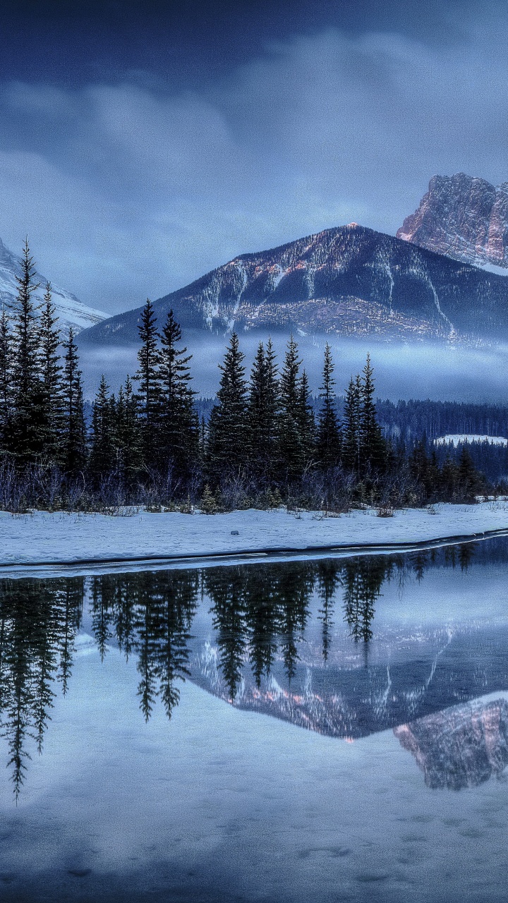 Green Pine Trees Near Snow Covered Mountain During Daytime. Wallpaper in 720x1280 Resolution