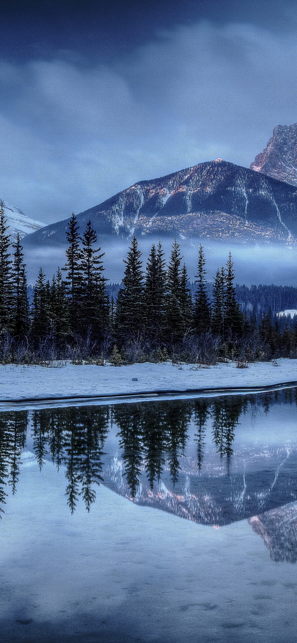 Pinos Verdes Cerca de la Montaña Cubierta de Nieve Durante el Día. Wallpaper in 1125x2436 Resolution