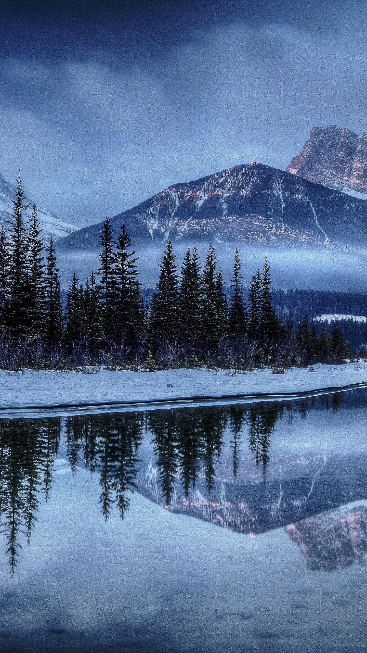 Pins Verts Près de la Montagne Couverte de Neige Pendant la Journée. Wallpaper in 1440x2560 Resolution