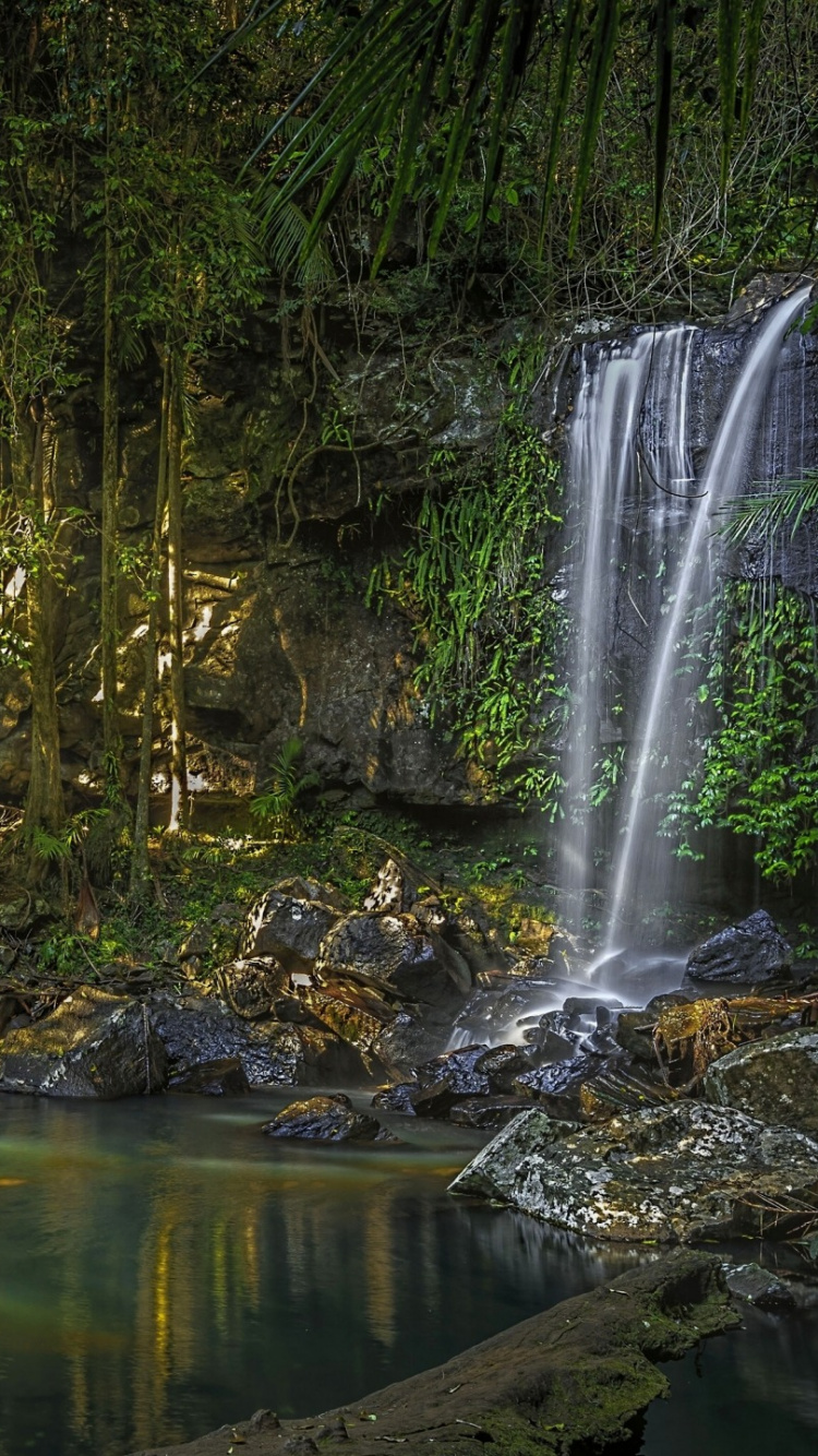 Green Trees Beside River During Daytime. Wallpaper in 750x1334 Resolution