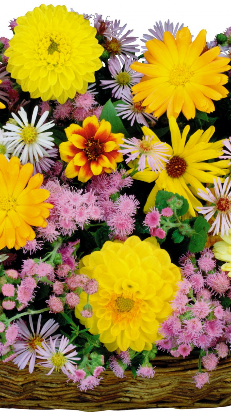 Bouquet de Fleurs Jaunes et Violettes. Wallpaper in 750x1334 Resolution