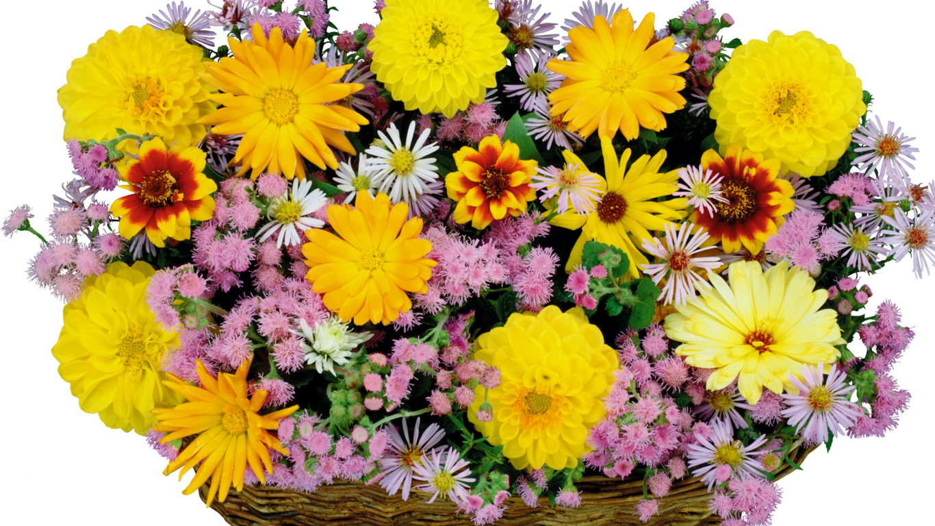 篮子里, 花卉设计, 花艺, 显花植物, 切花 壁纸 1366x768 允许