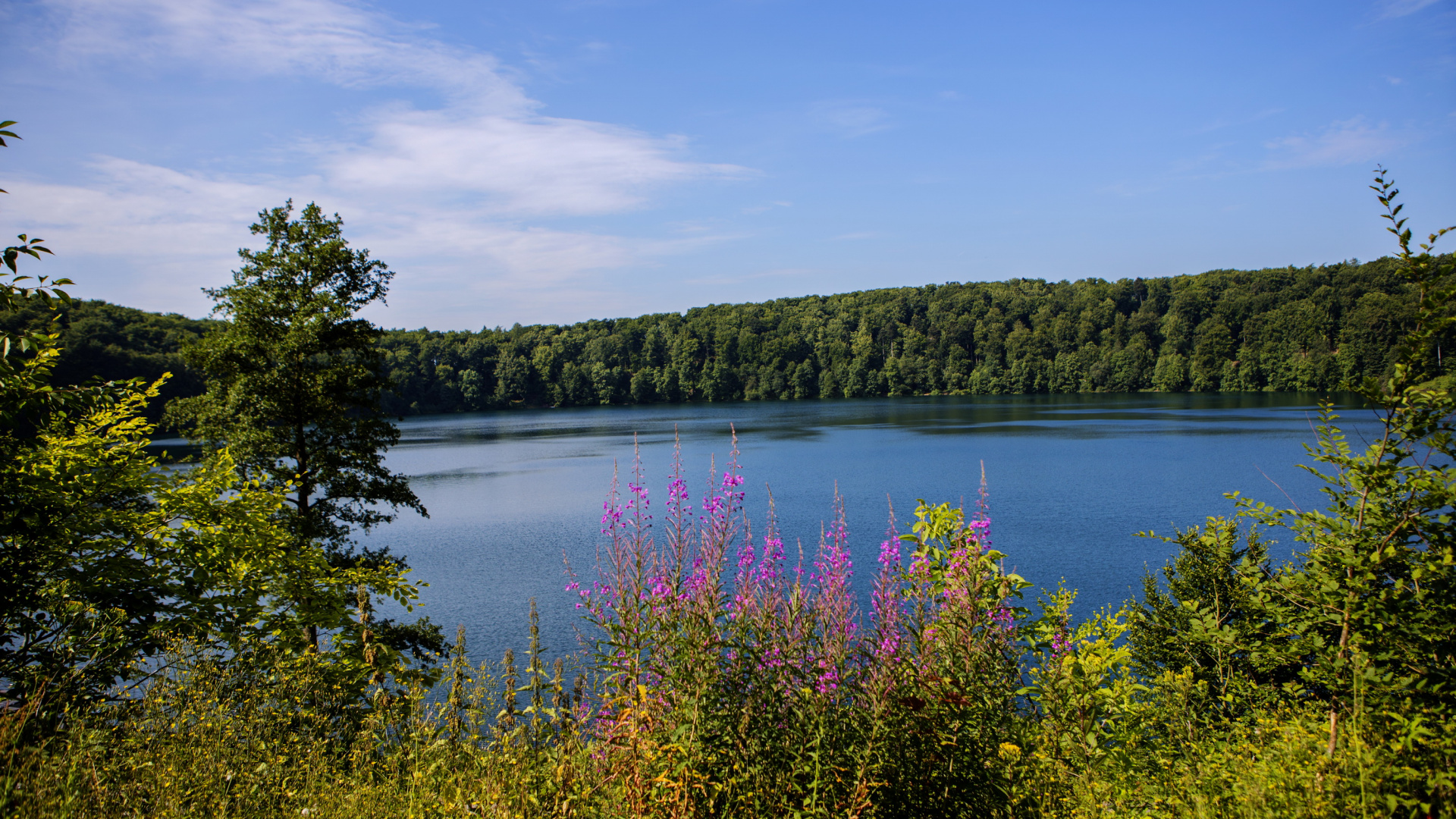 Green Trees Beside Lake Under Blue Sky During Daytime. Wallpaper in 1920x1080 Resolution