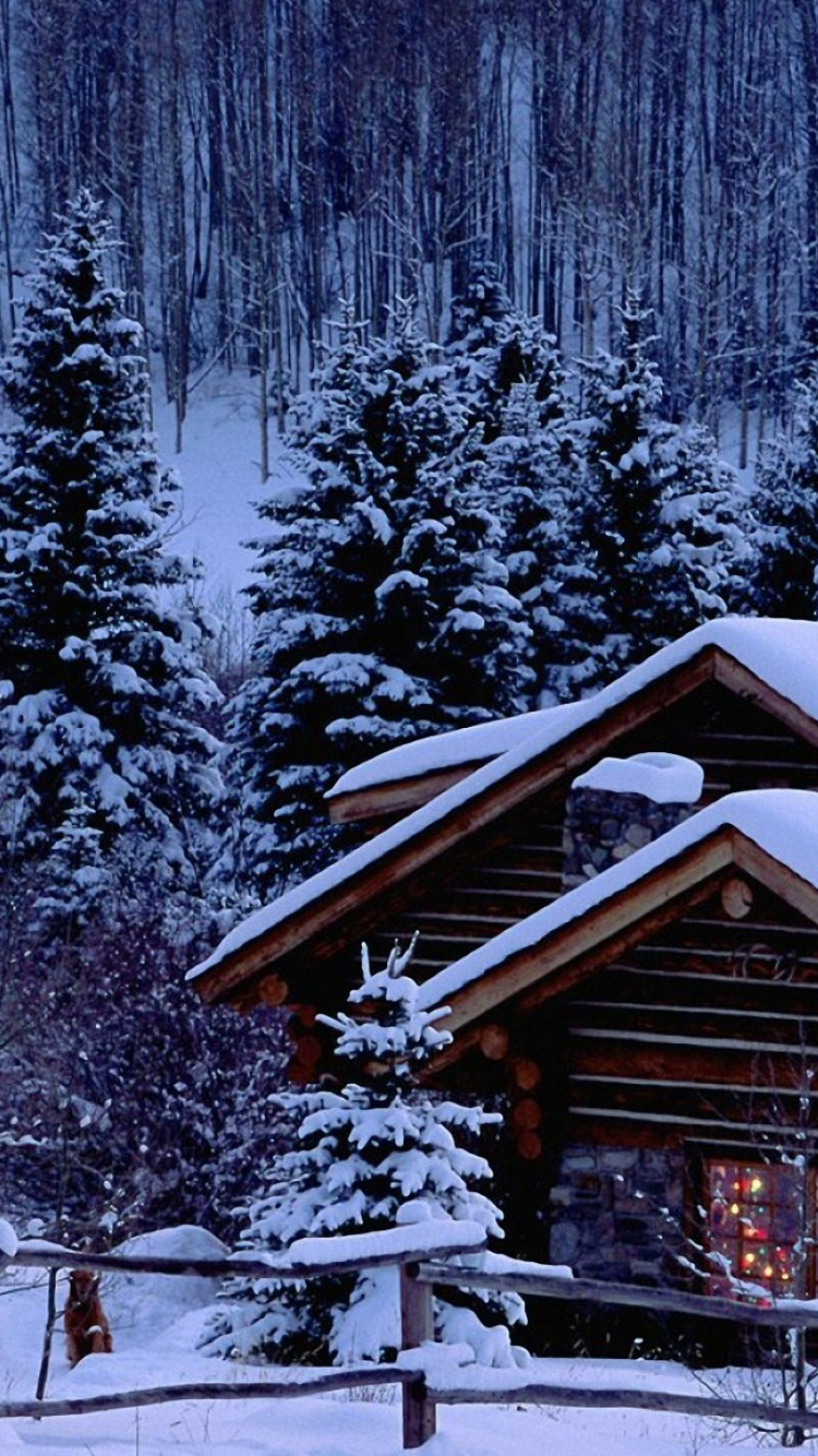 Brown Wooden House Covered With Snow Near Trees During Daytime. Wallpaper in 750x1334 Resolution
