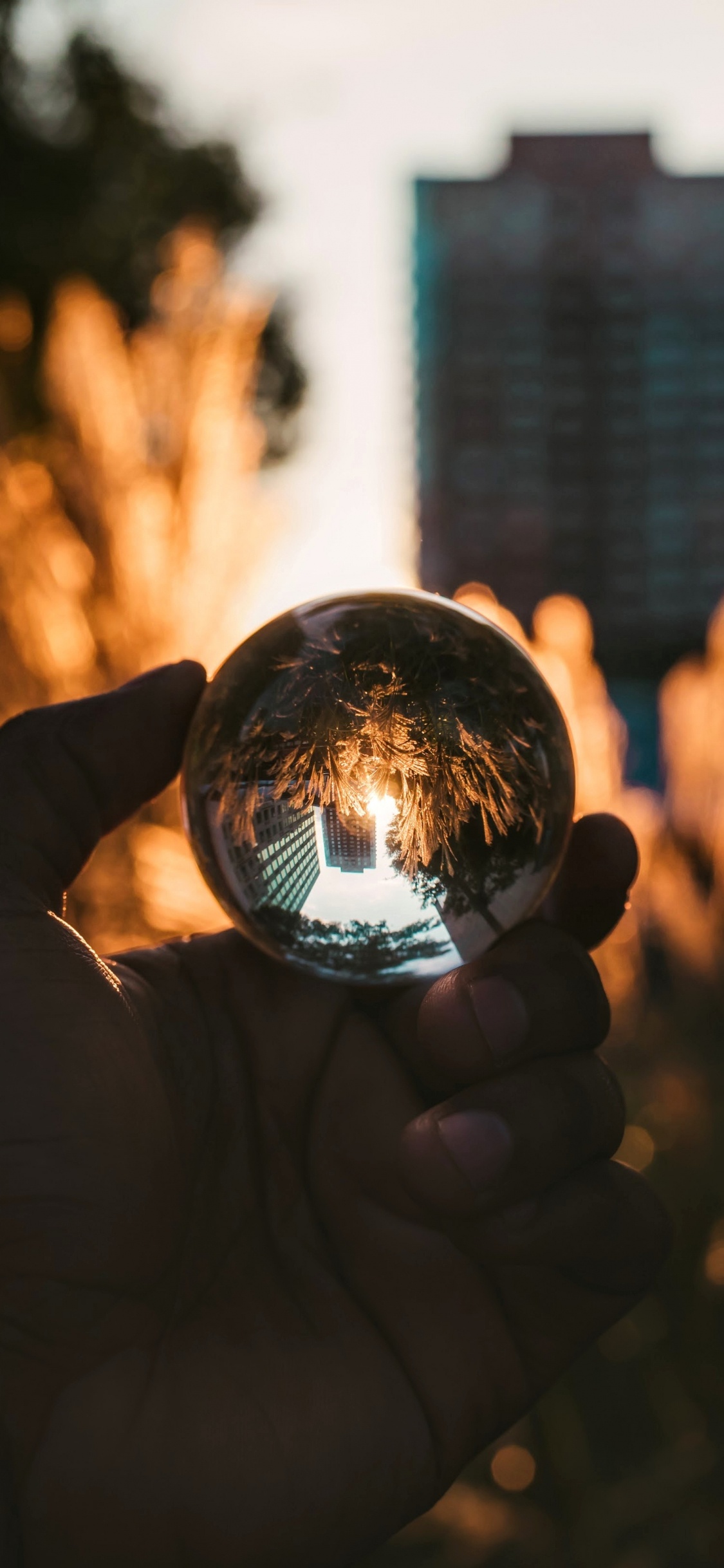 Personne Tenant Une Boule de Verre Transparent. Wallpaper in 1125x2436 Resolution