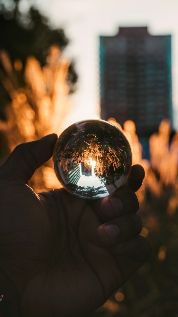 Personne Tenant Une Boule de Verre Transparent. Wallpaper in 750x1334 Resolution