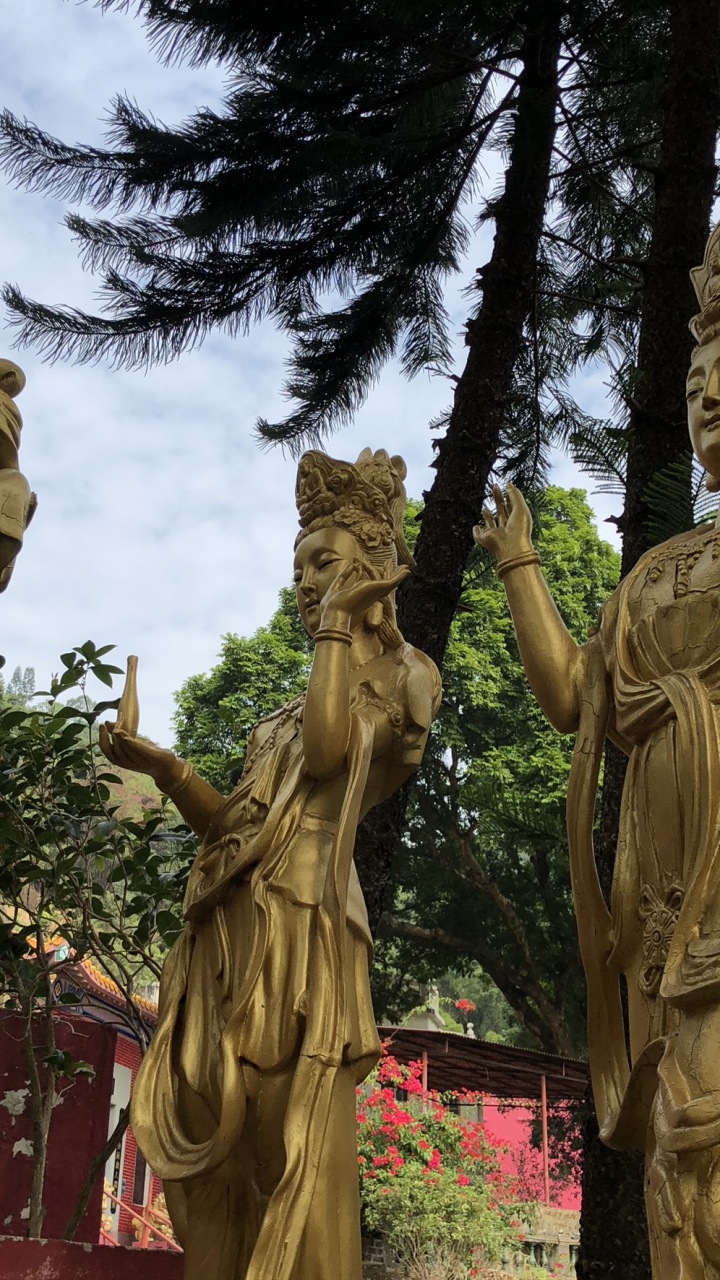 雕像, 性质, 植被, 木, 绿色的 壁纸 720x1280 允许