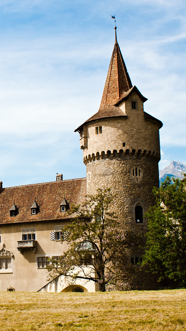 Château en Béton Brun Sous Ciel Bleu Pendant la Journée. Wallpaper in 750x1334 Resolution
