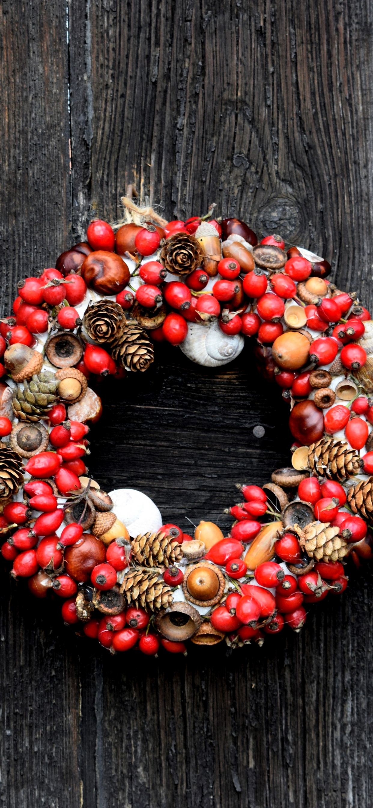 Le Jour De Noël, Guirlande, Red, Décoration de Noël, Églantier. Wallpaper in 1242x2688 Resolution