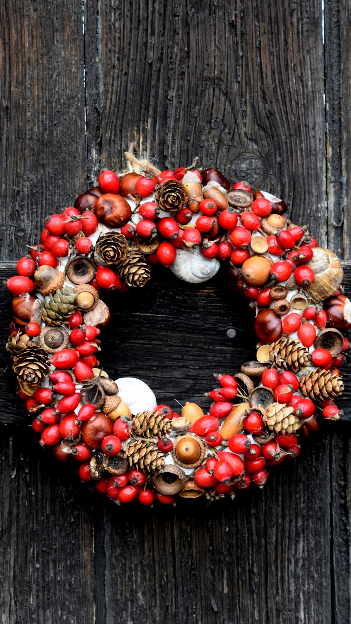 Wreath, Christmas Day, Holiday, Garland, Red. Wallpaper in 1440x2560 Resolution