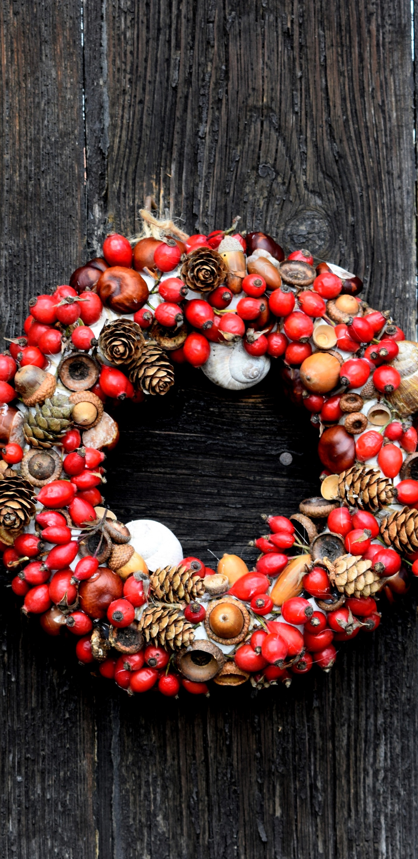 Wreath, Christmas Day, Holiday, Garland, Red. Wallpaper in 1440x2960 Resolution