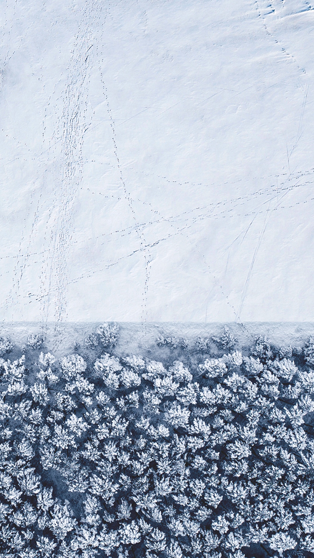 IPhone, IOS 14, IOS 14 DUAL, Apple, Congélation. Wallpaper in 1080x1920 Resolution