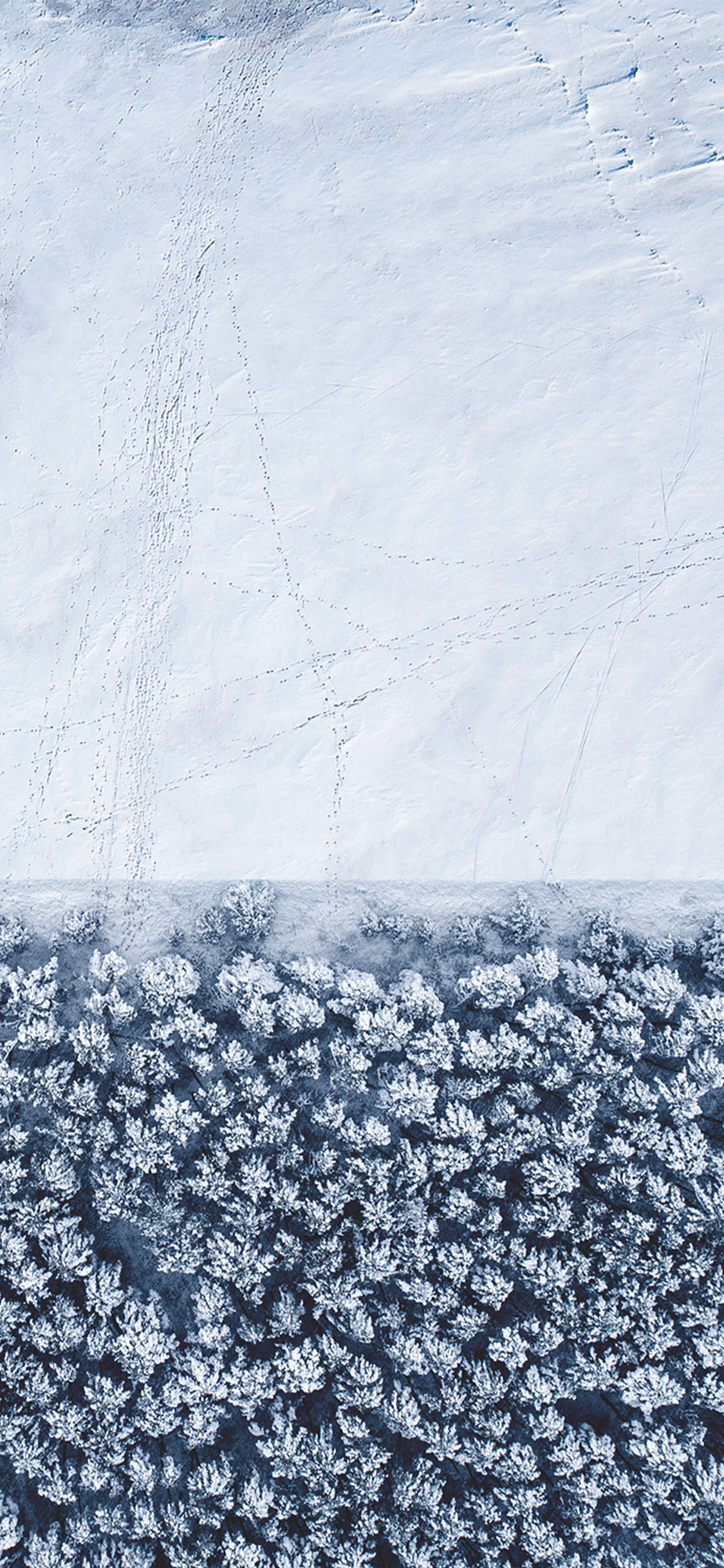 IPhone, IOS 14, IOS 14 DUAL, Apple, Congélation. Wallpaper in 1125x2436 Resolution