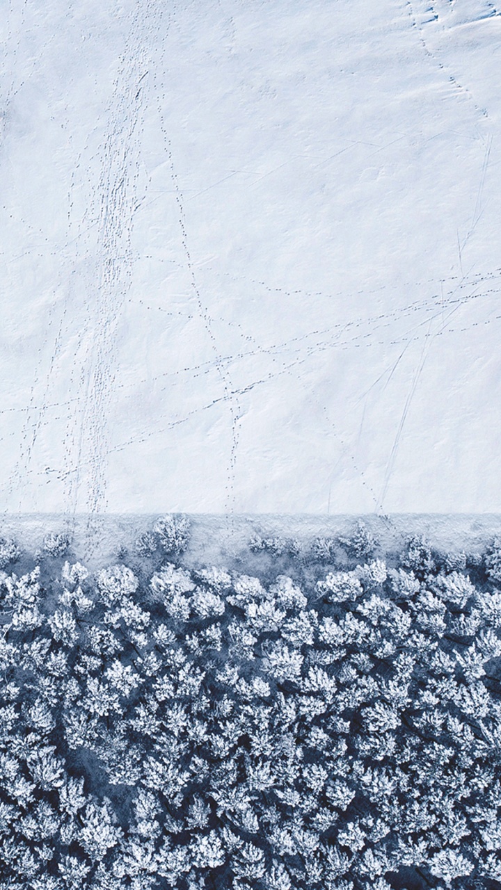 IPhone, IOS 14, IOS 14 DUAL, Apple, Congélation. Wallpaper in 720x1280 Resolution