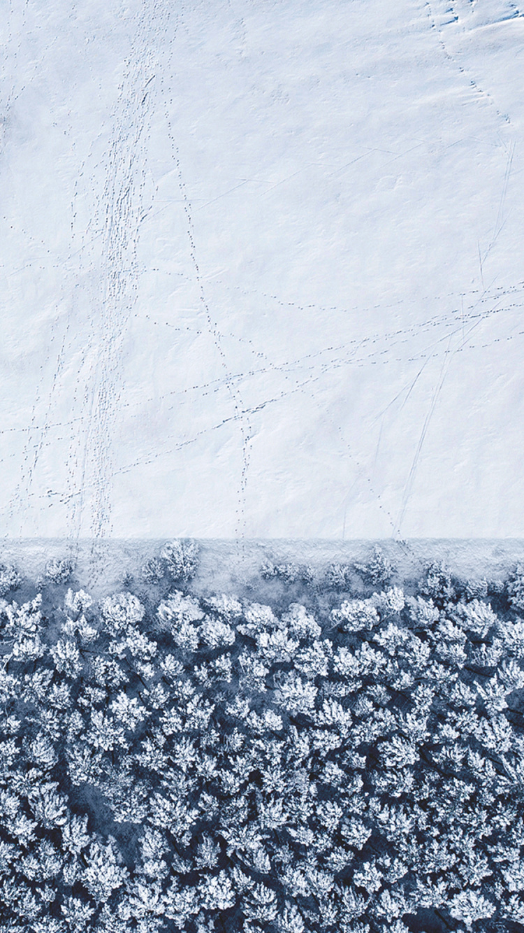 IPhone, IOS 14, IOS 14 DUAL, Apple, Congélation. Wallpaper in 750x1334 Resolution