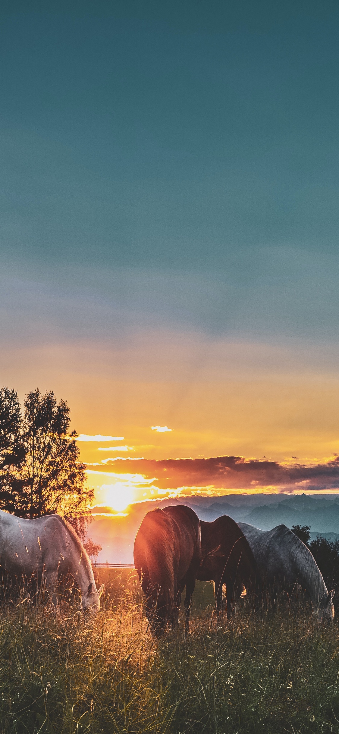 Cloud, Atmosphäre, Ökoregion, Naturlandschaft, Afterglow. Wallpaper in 1125x2436 Resolution