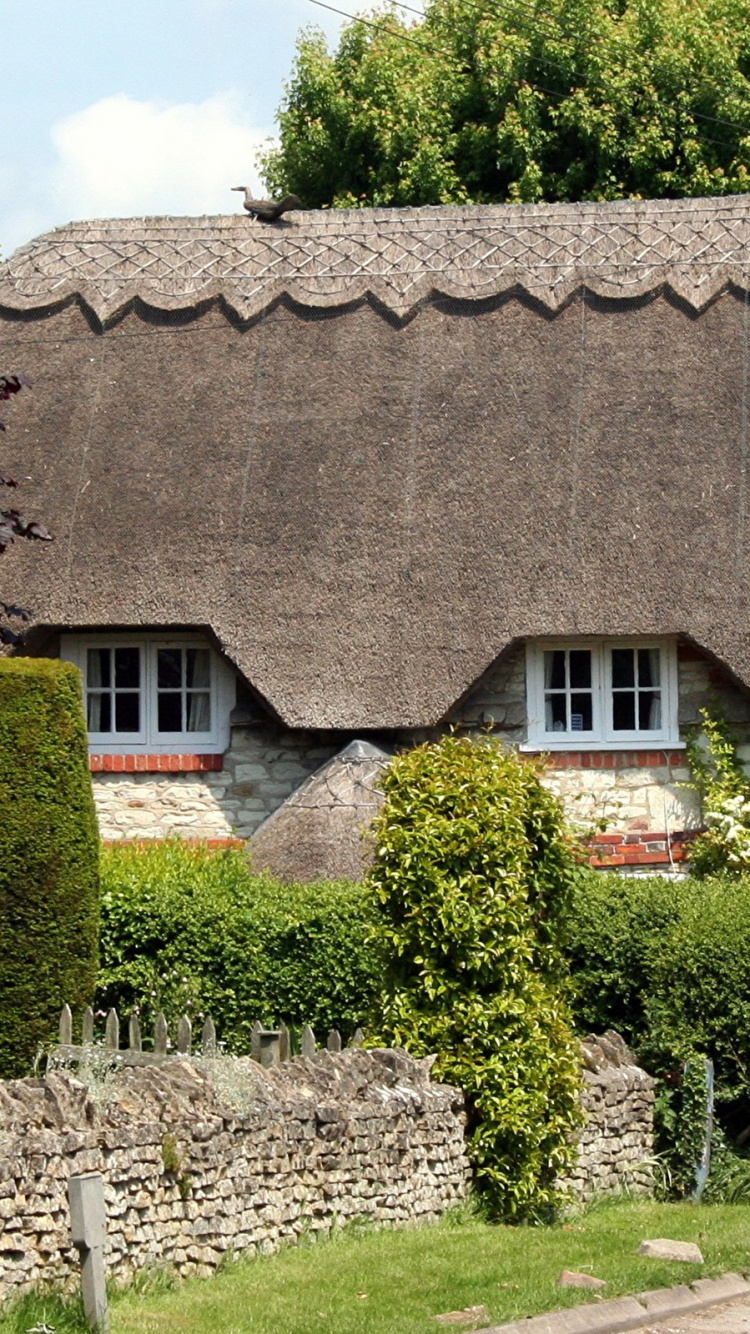 Maison Brune et Blanche Entourée de Plantes Vertes. Wallpaper in 750x1334 Resolution