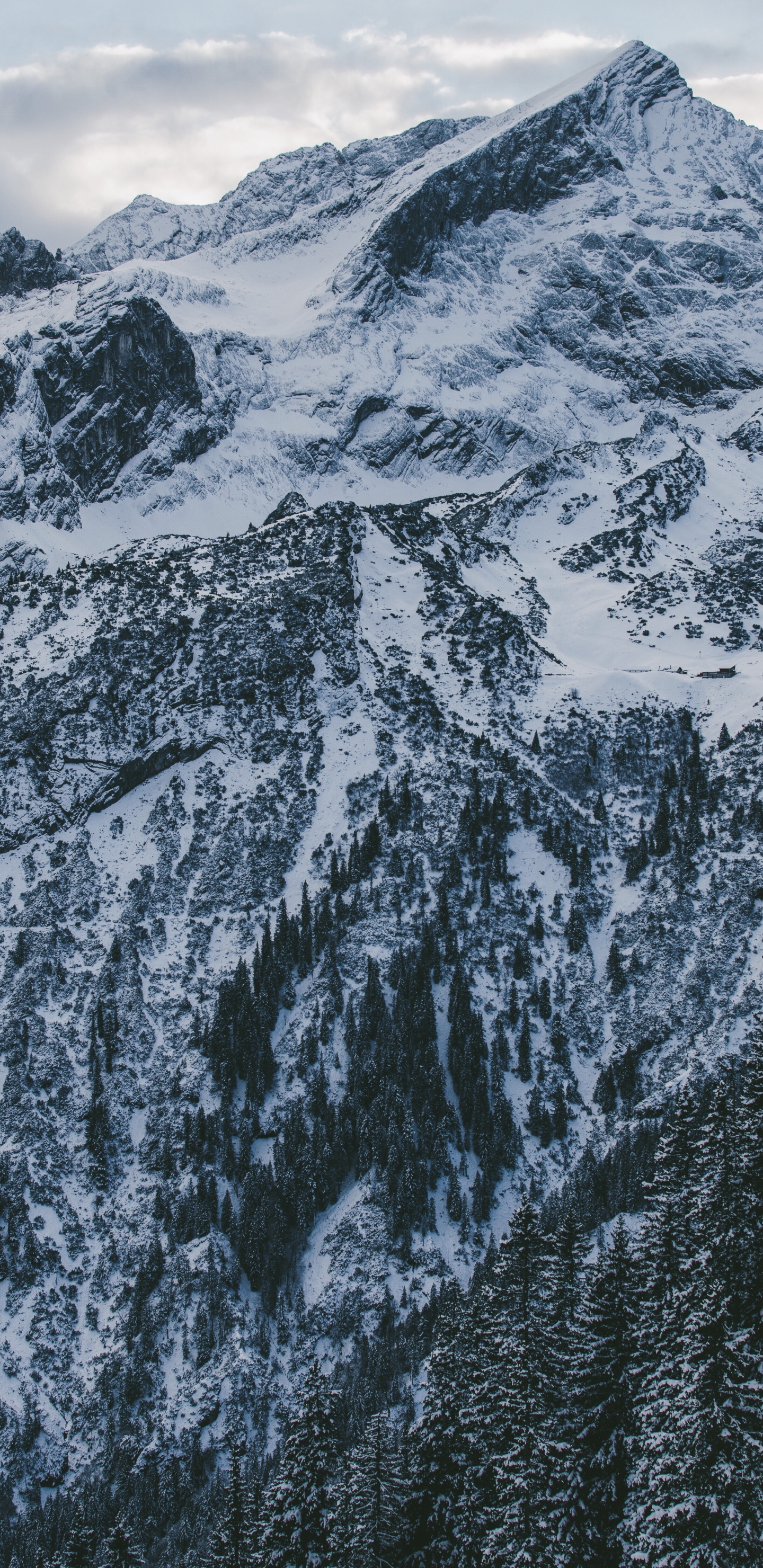 山脉, 山, 地质学, 分析, 地形 壁纸 1440x2960 允许