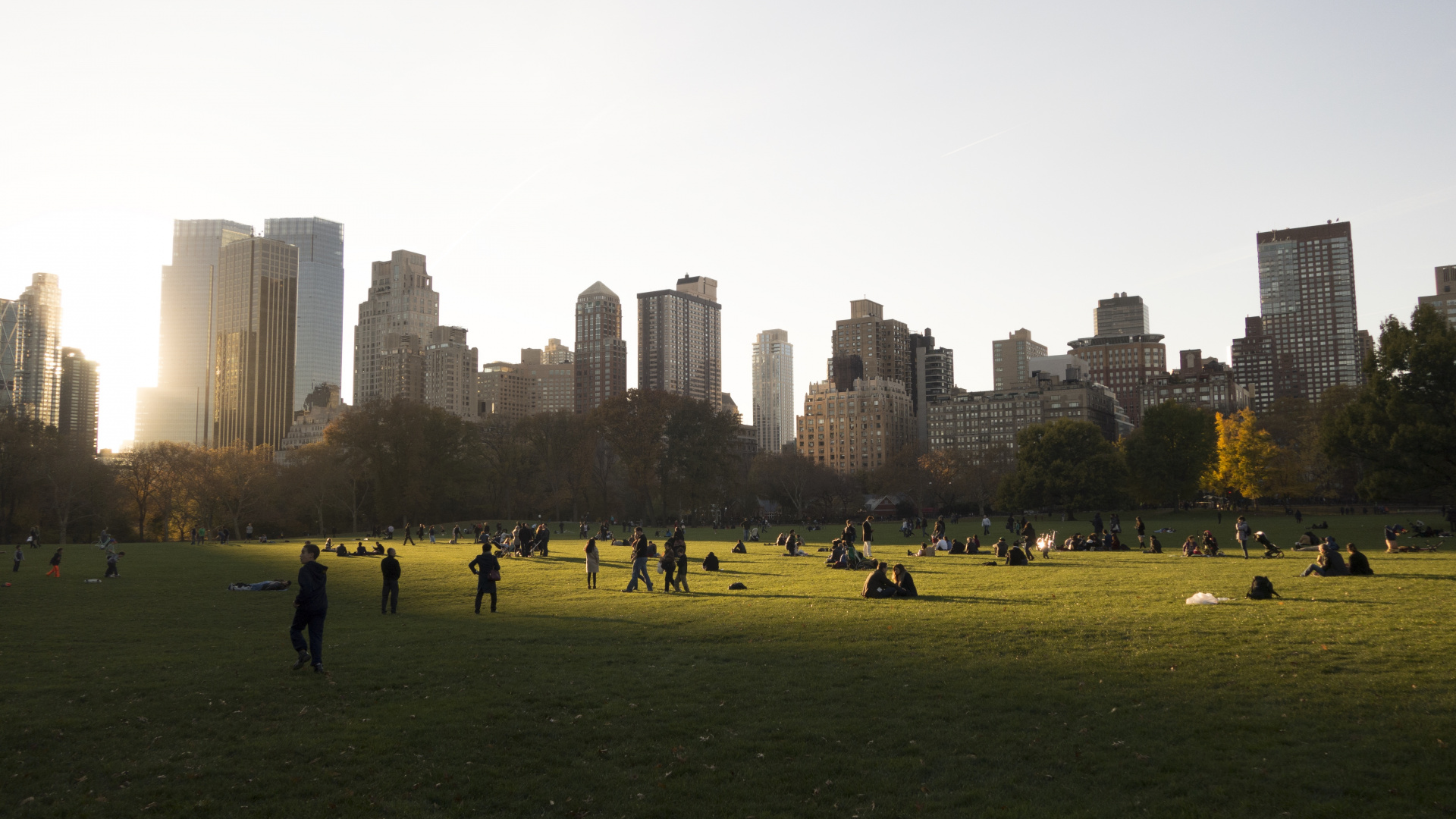 Central Park, City, Daytime, Skyline, Urban Area. Wallpaper in 1920x1080 Resolution