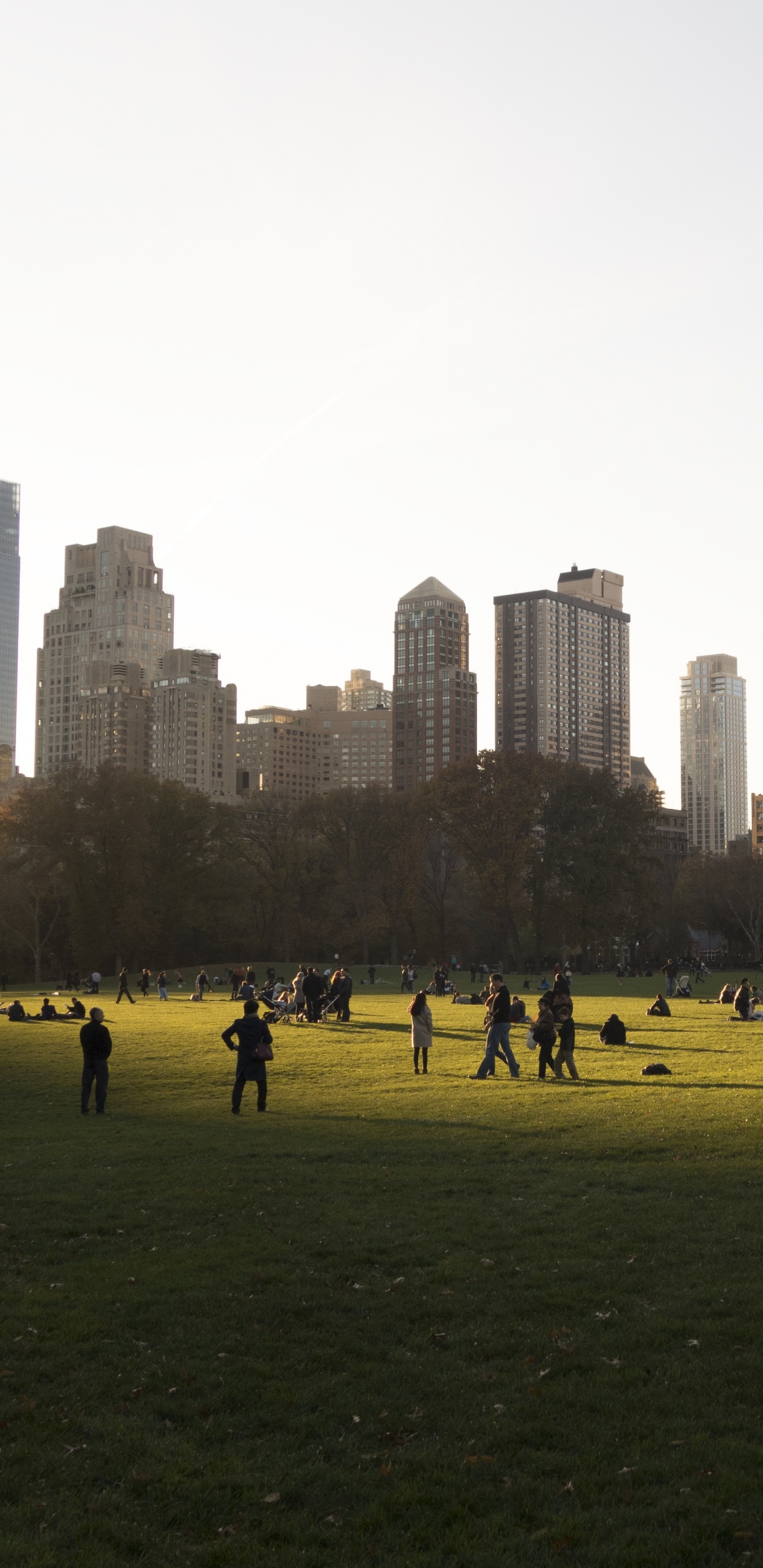 Central Park, la Journée, Zone Urbaine, Horizon, Parc. Wallpaper in 1440x2960 Resolution