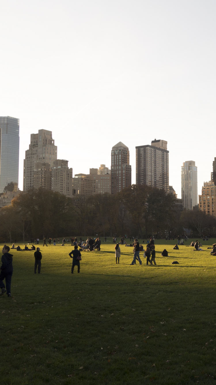 Central Park, Horizonte, Área Urbana, Parque, Mañana. Wallpaper in 750x1334 Resolution