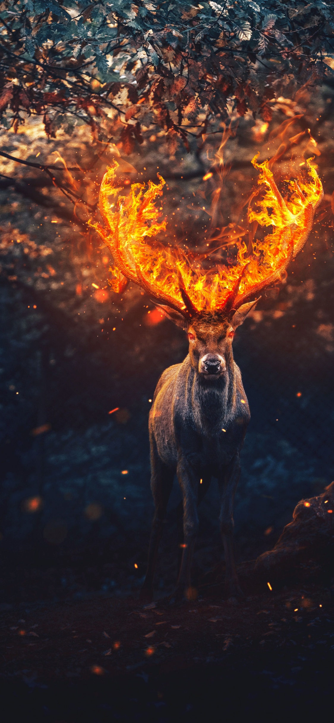 Deer, People in Nature, World, Fire, Heat. Wallpaper in 1125x2436 Resolution