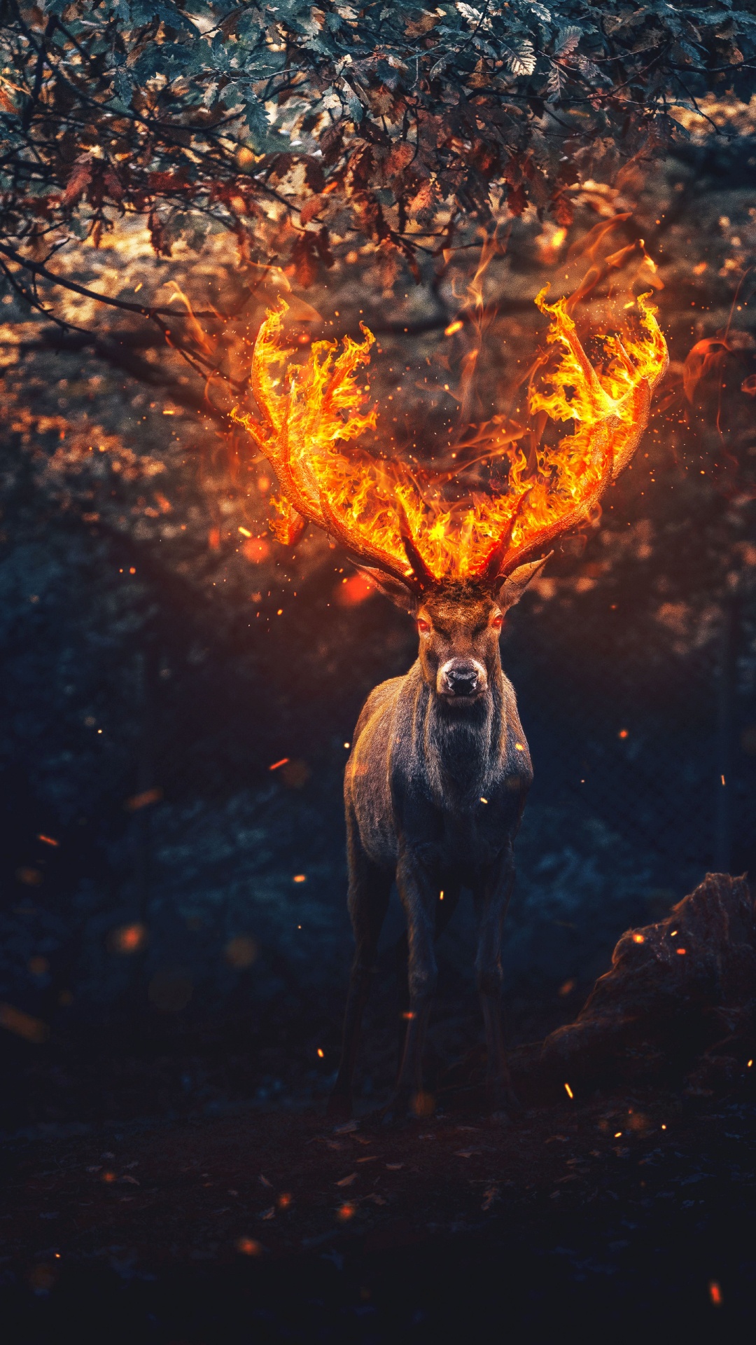 Hirsch, Menschen in Der Natur, Feuer, Hitze, Kunst. Wallpaper in 1080x1920 Resolution