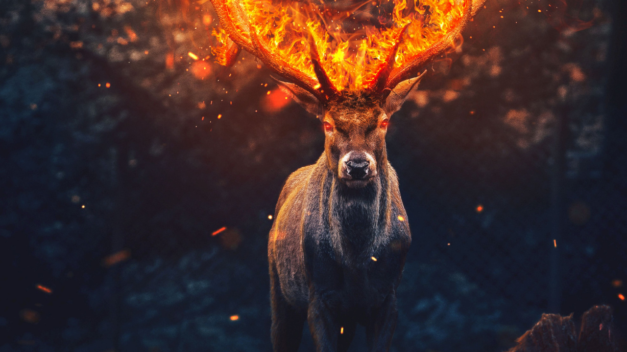 Hirsch, Menschen in Der Natur, Feuer, Hitze, Kunst. Wallpaper in 1280x720 Resolution