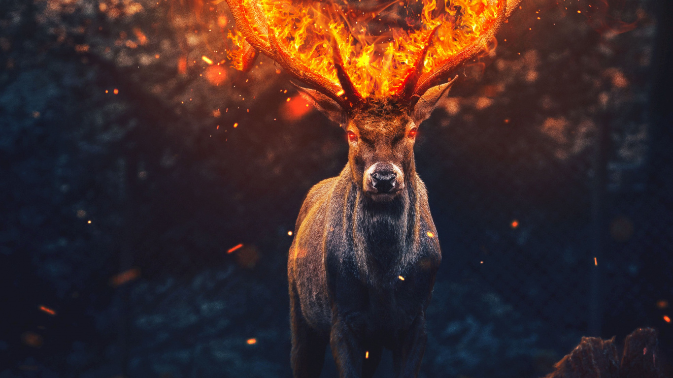 Hirsch, Menschen in Der Natur, Feuer, Hitze, Kunst. Wallpaper in 1366x768 Resolution