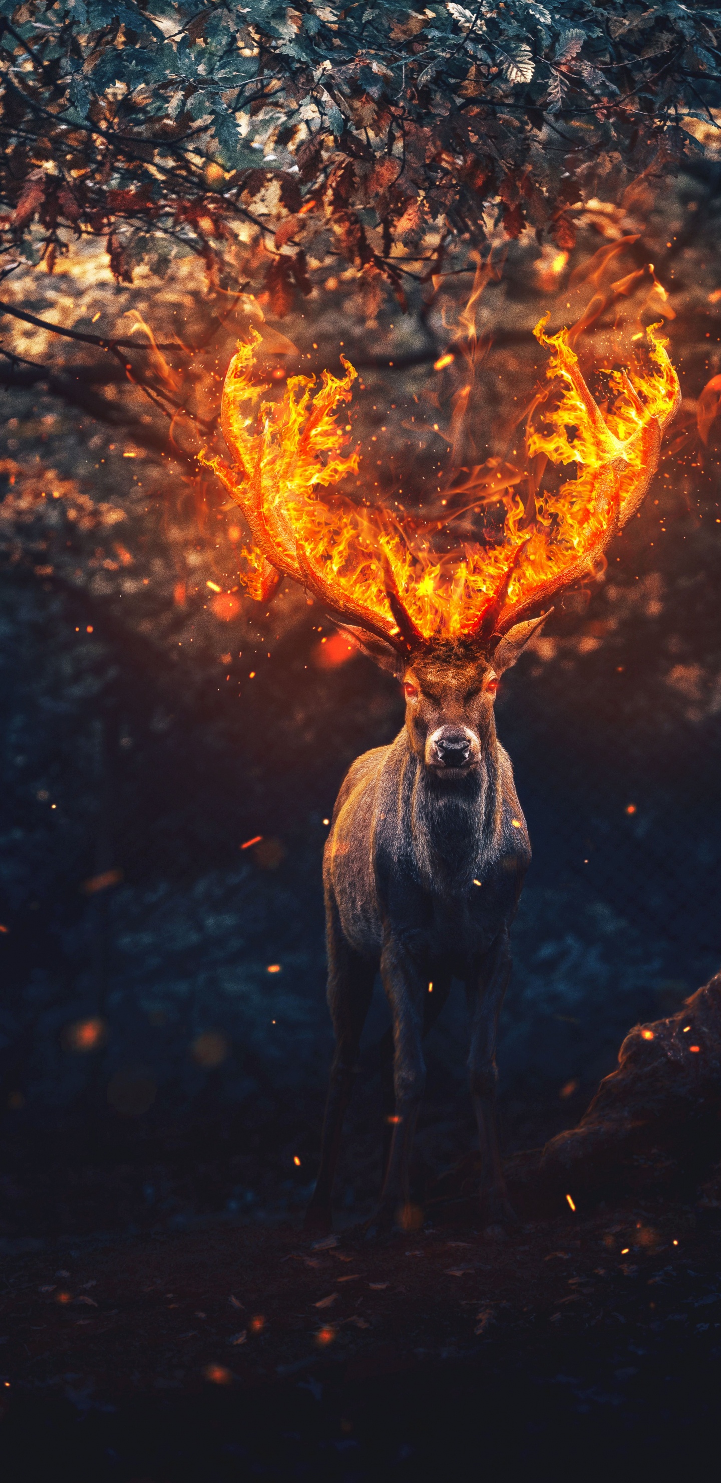 Hirsch, Menschen in Der Natur, Feuer, Hitze, Kunst. Wallpaper in 1440x2960 Resolution